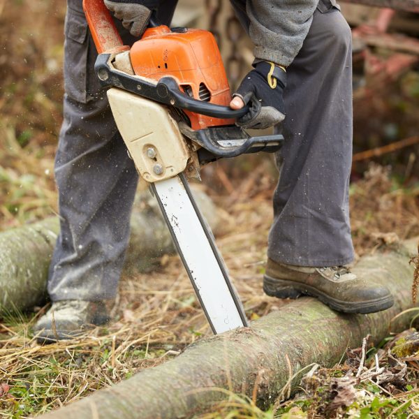 anonymous-lumberjack-with-chainsaw-cutting-logs-2026-01-09-14-22-28-utc