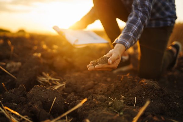 Expert hand of farmer checking soil health before growth a seed of vegetable. Business concept.